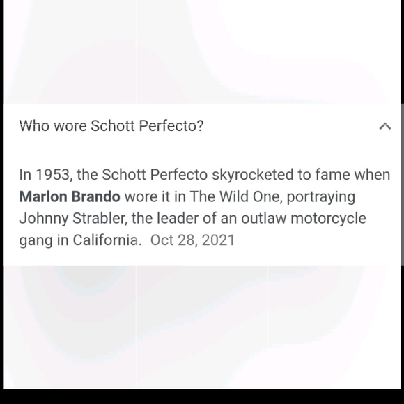 Vintage Perfecto by Schott jacket - Picture 15 of 16